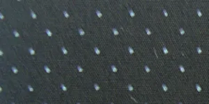 230.061