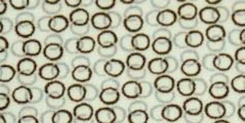 230.065
