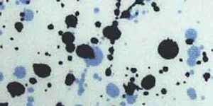 230.072