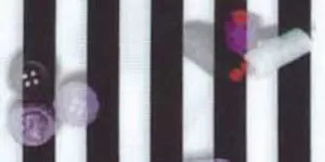 230.101