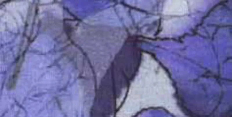 230.107