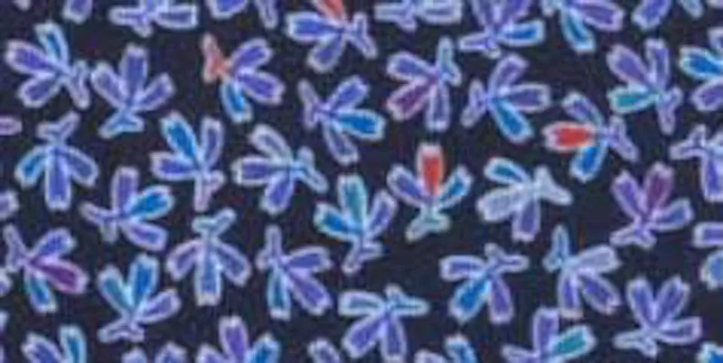 230.111