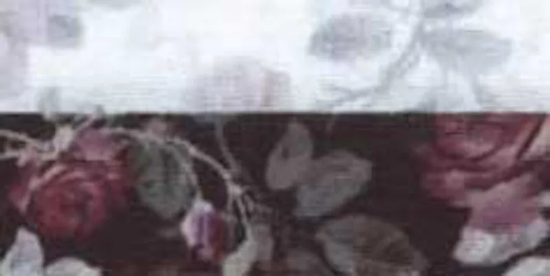 230.129
