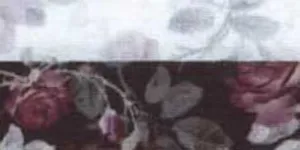 230.129