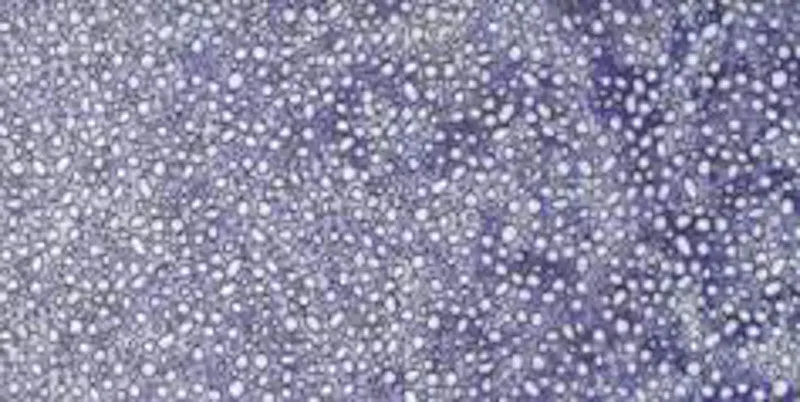 230.181