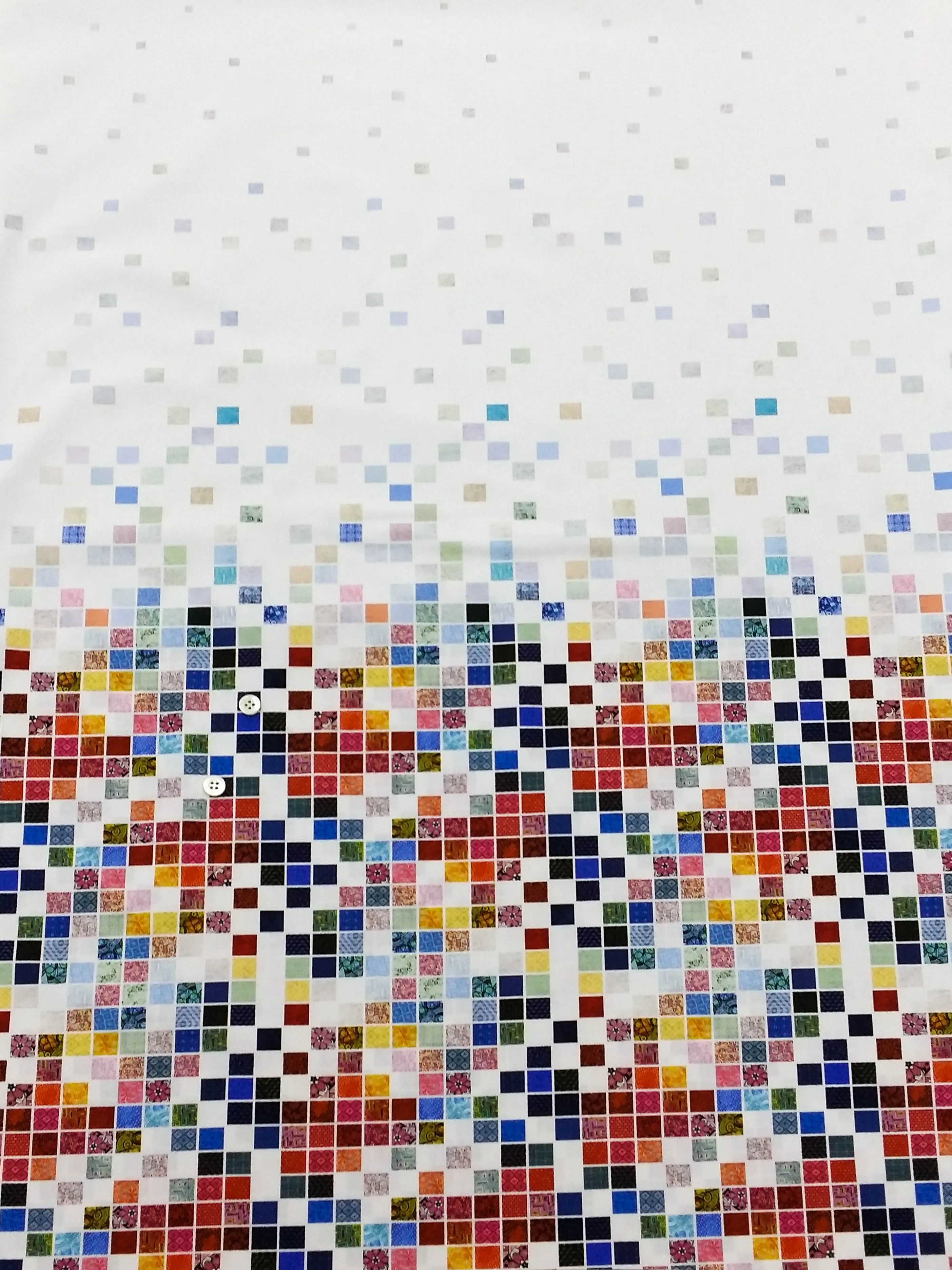 230.248P