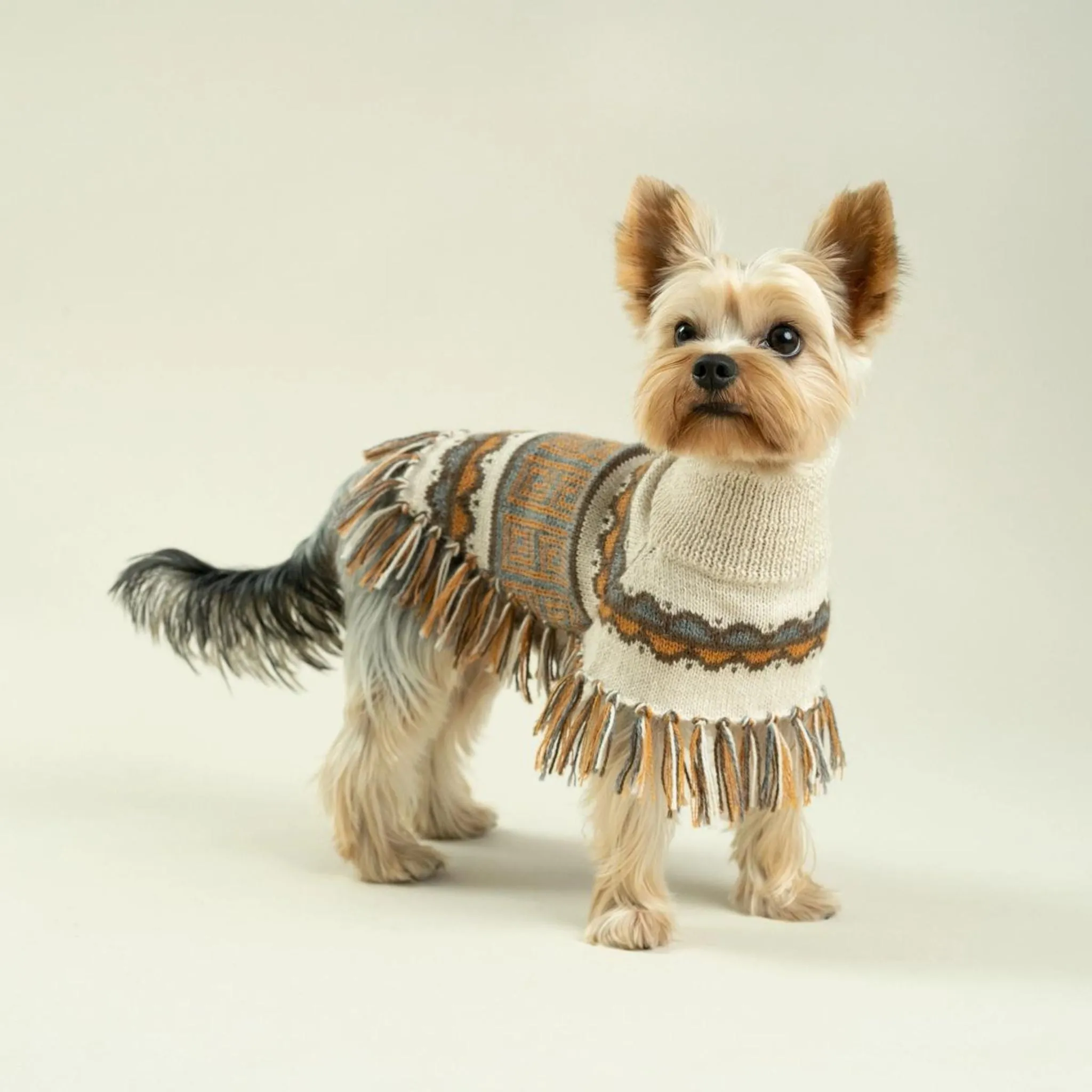 Alpaca Knitted Sweater Pisca Dog Poncho
