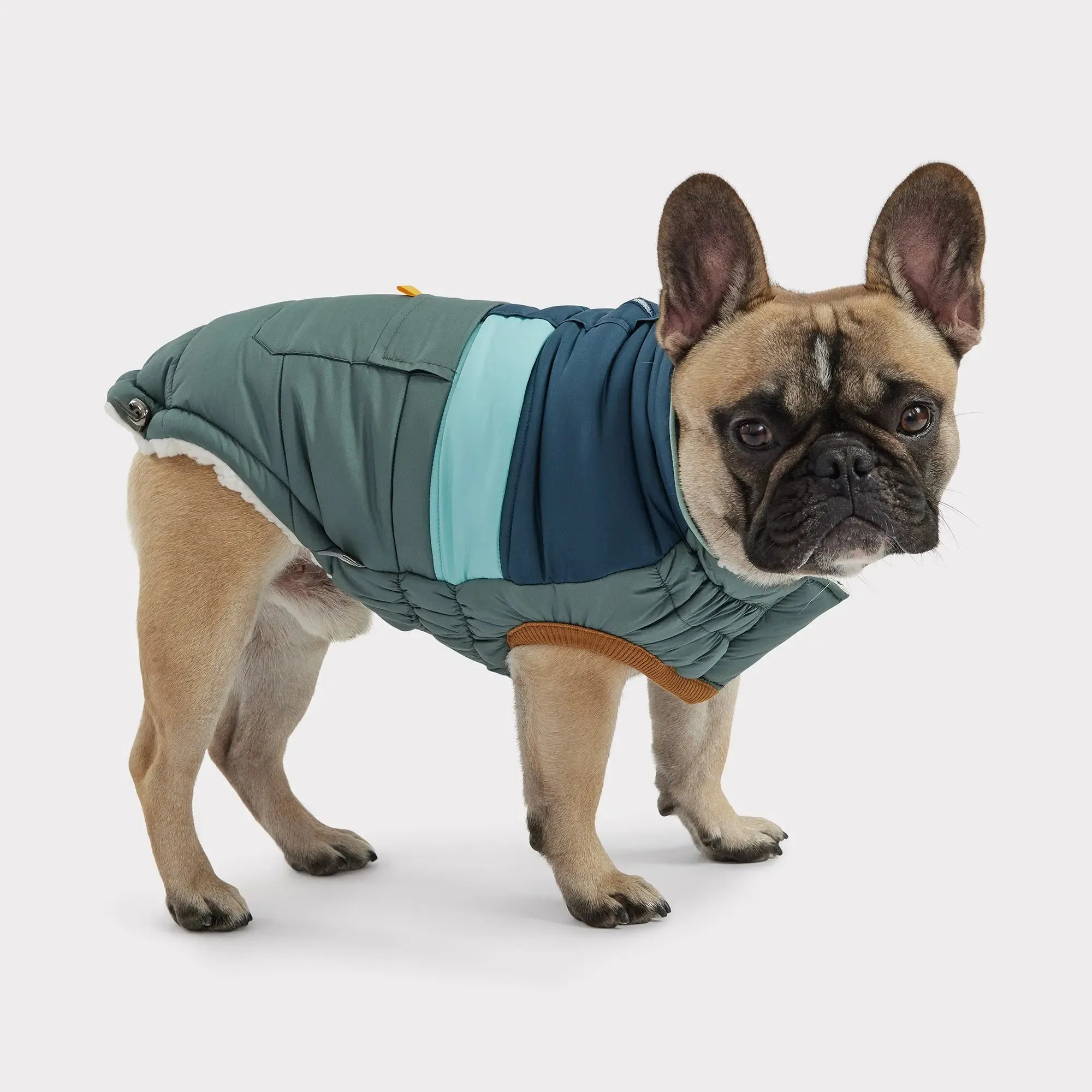Camplife Dog Puffer | Sage