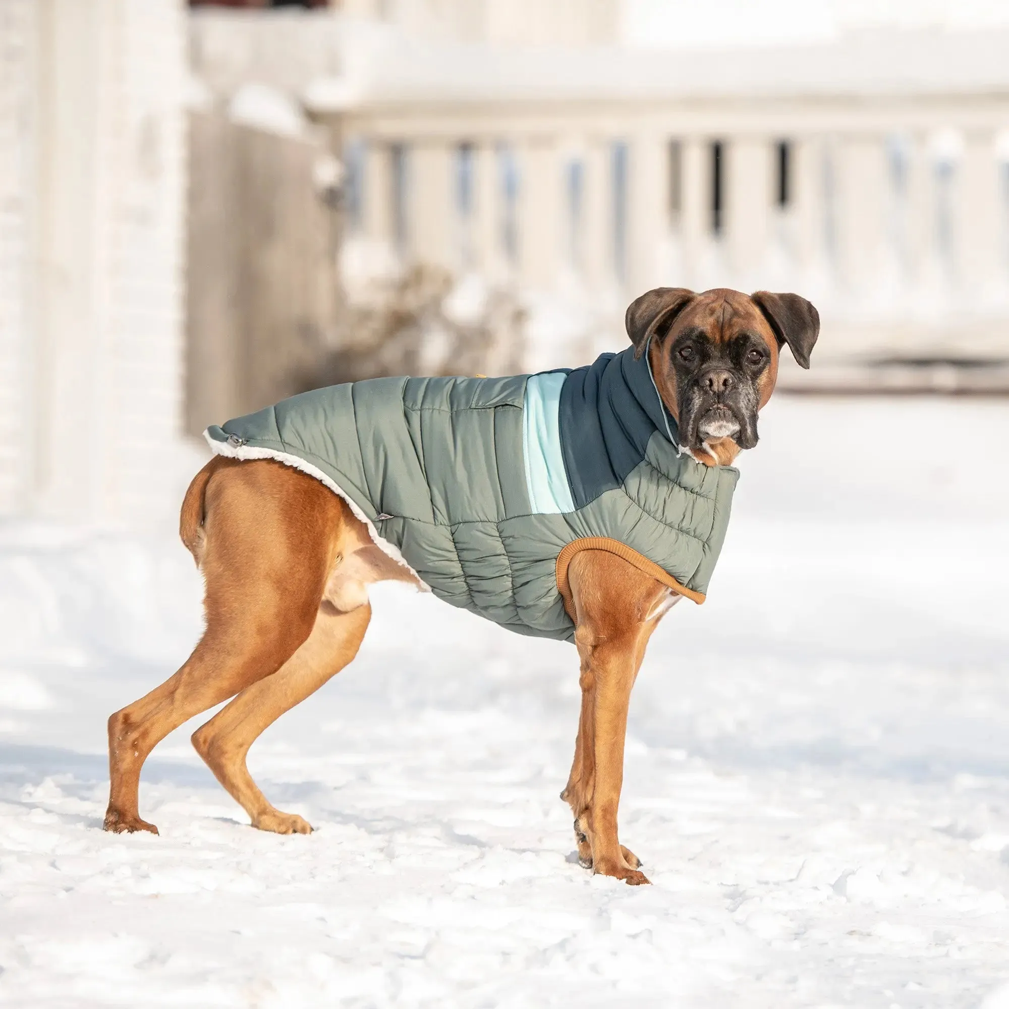 Camplife Dog Puffer | Sage