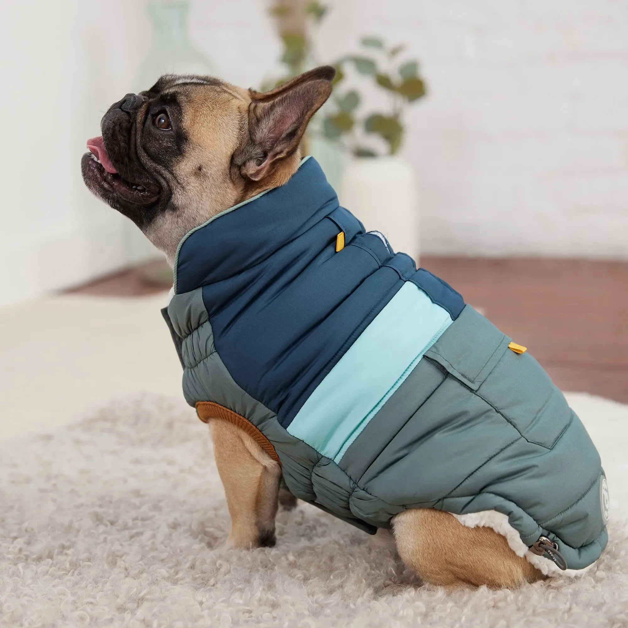 Camplife Dog Puffer | Sage