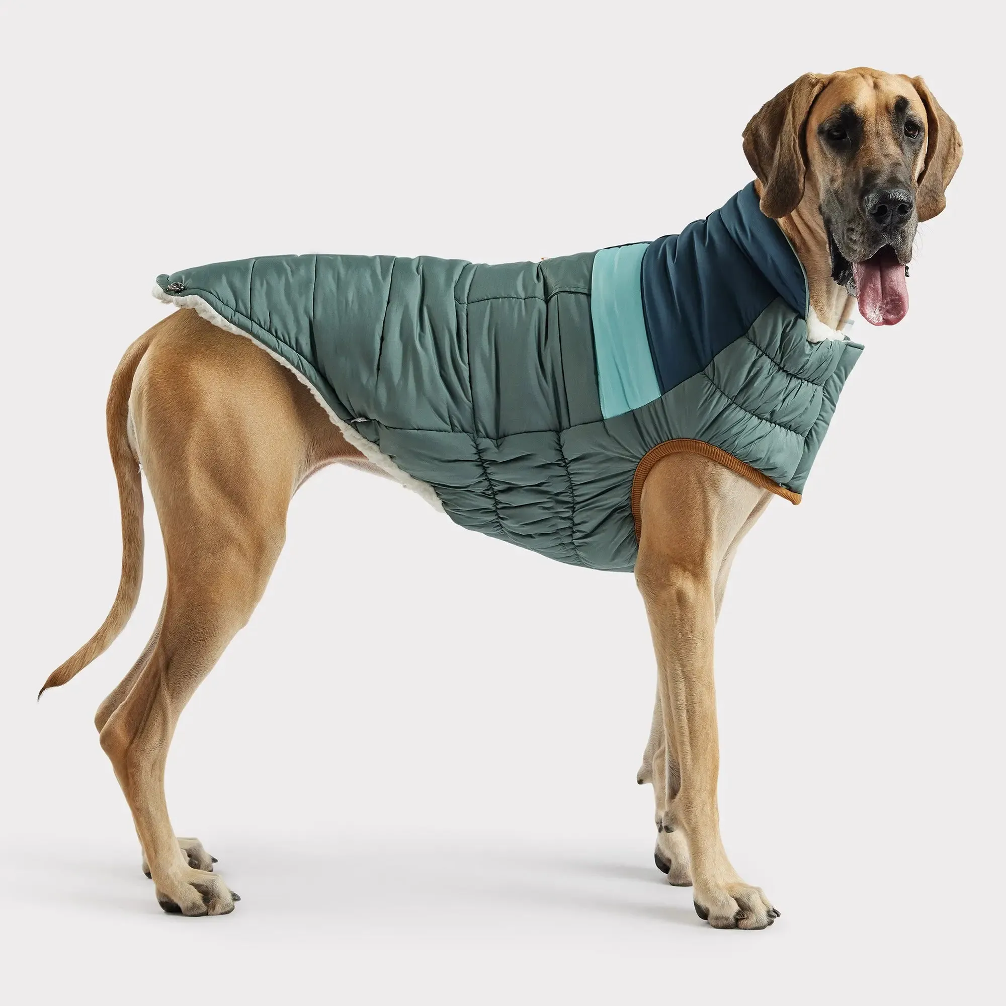 Camplife Dog Puffer | Sage