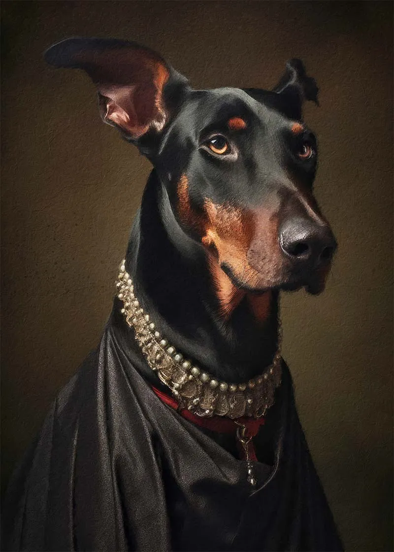 Doberman Dog Portrait Print