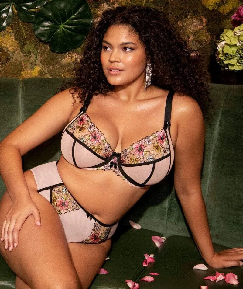 Elomi Carrie Underwired Plunge Bra - Ballet Pink