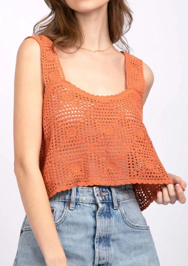 Lace Crochet Crop Knit Top