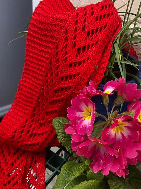 Majuba Shawlette