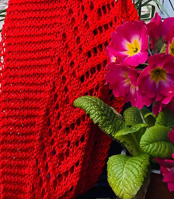 Majuba Shawlette