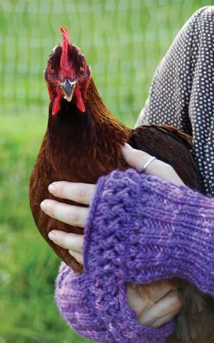 Milkmaid mitts pattern