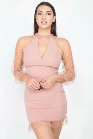 Pearl Trim Mesh Bodycon Dress