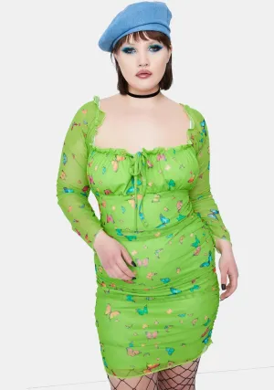 Plus Butterfly Dress