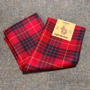Scarf in Cameron Modern Wool Tartan