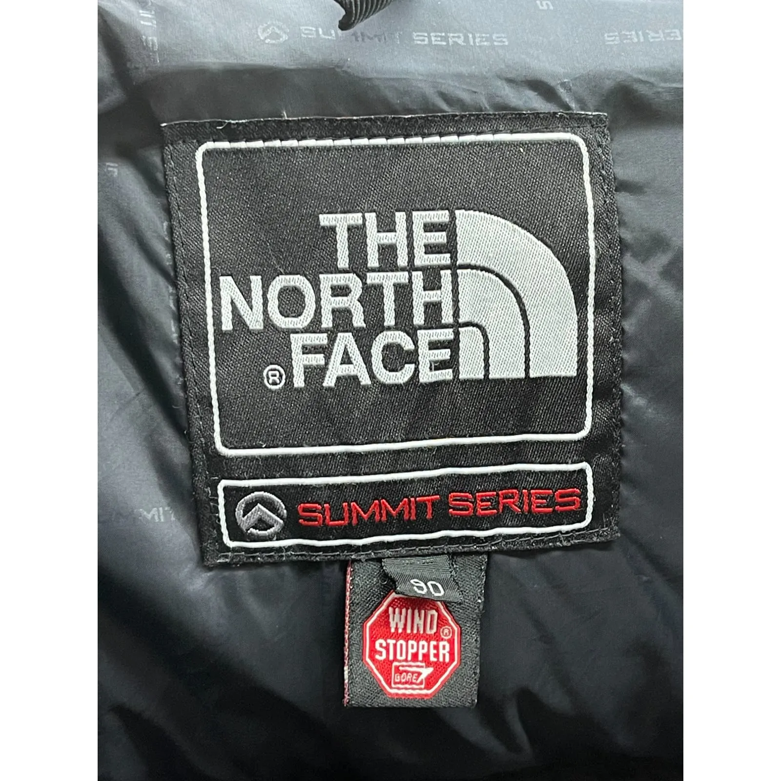 The North Face Men's Summit Series Windstopper 700 Red Down Puffer Jacket
