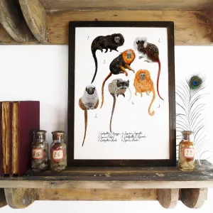 Troop of Tamarins Art Print