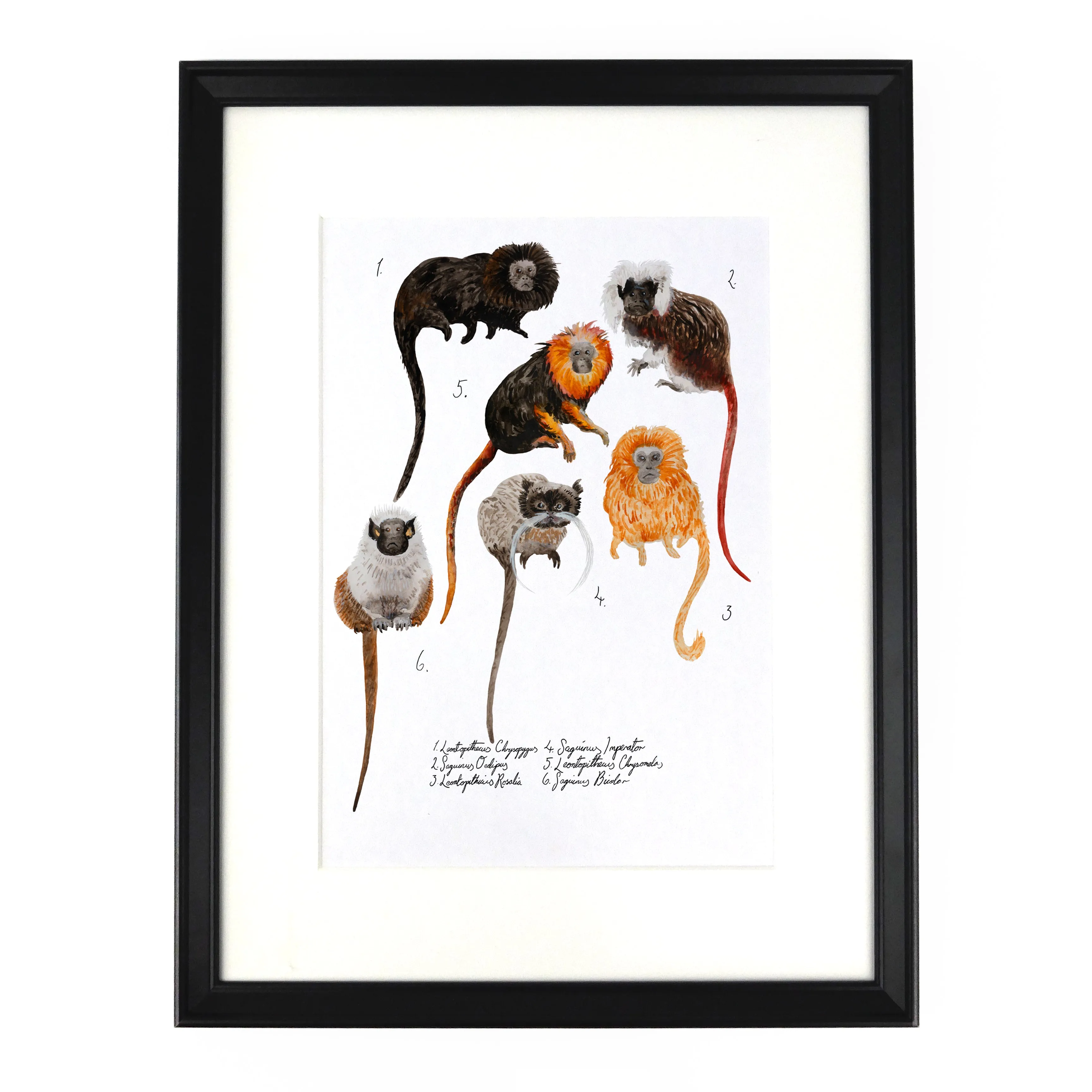 Troop of Tamarins Art Print