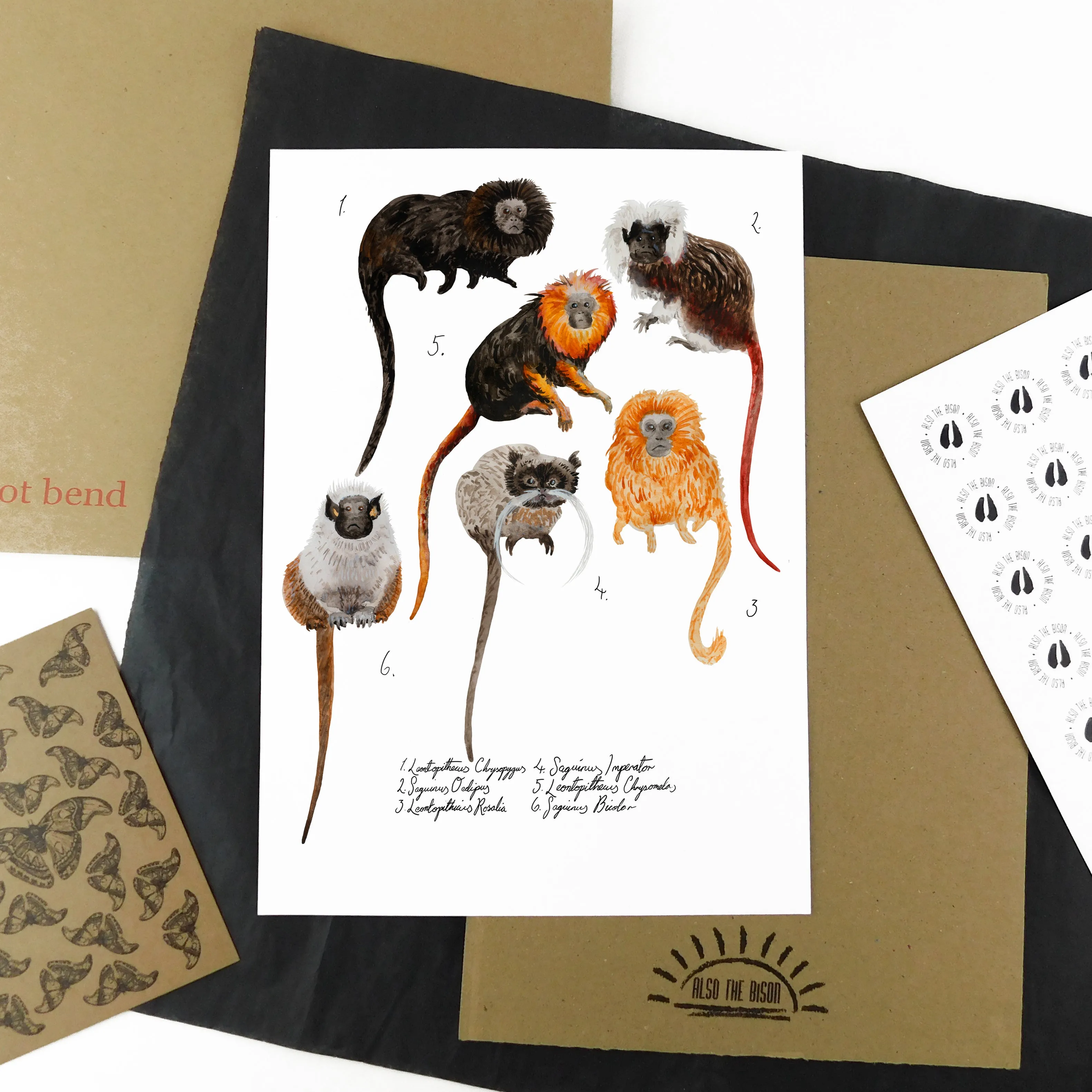 Troop of Tamarins Art Print