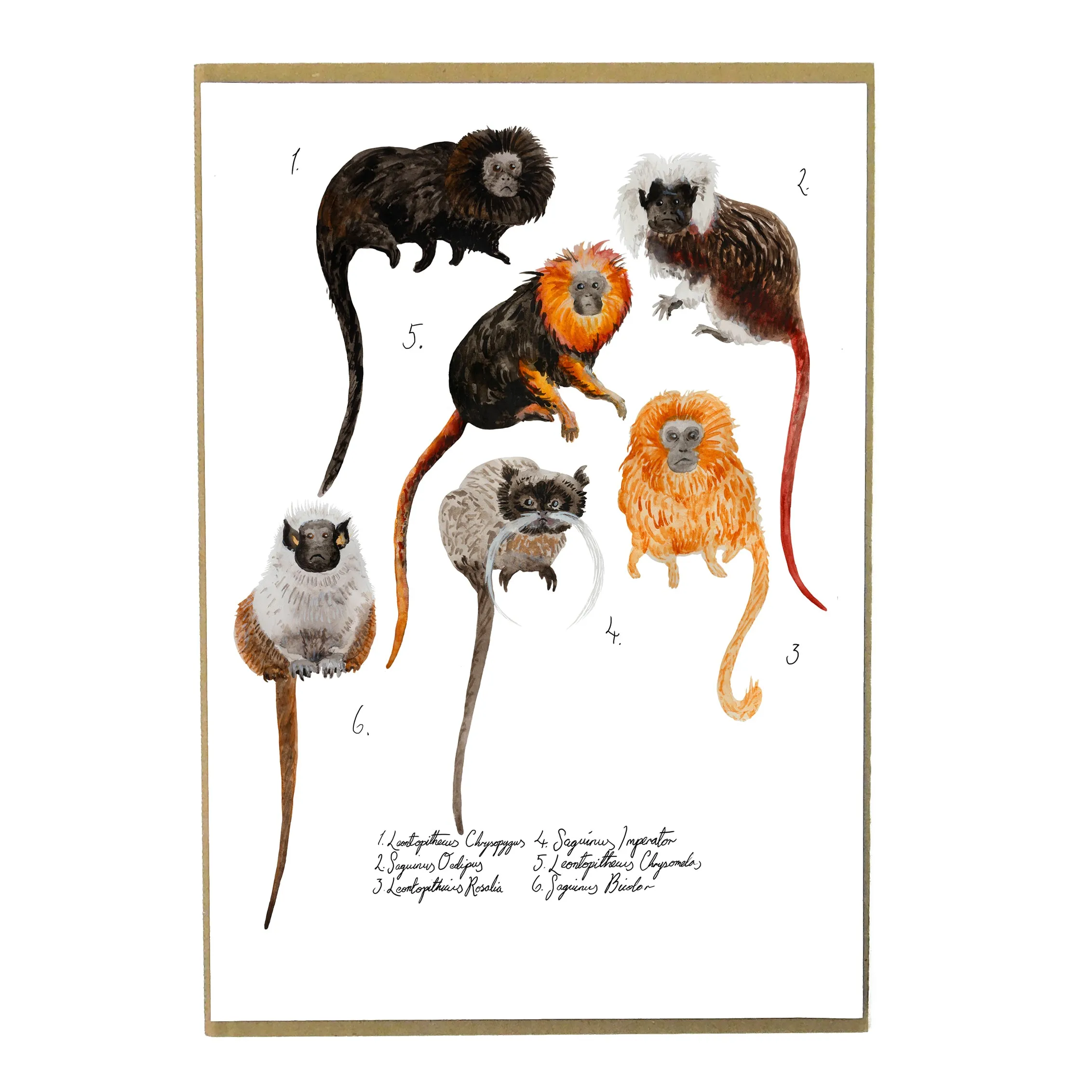 Troop of Tamarins Art Print