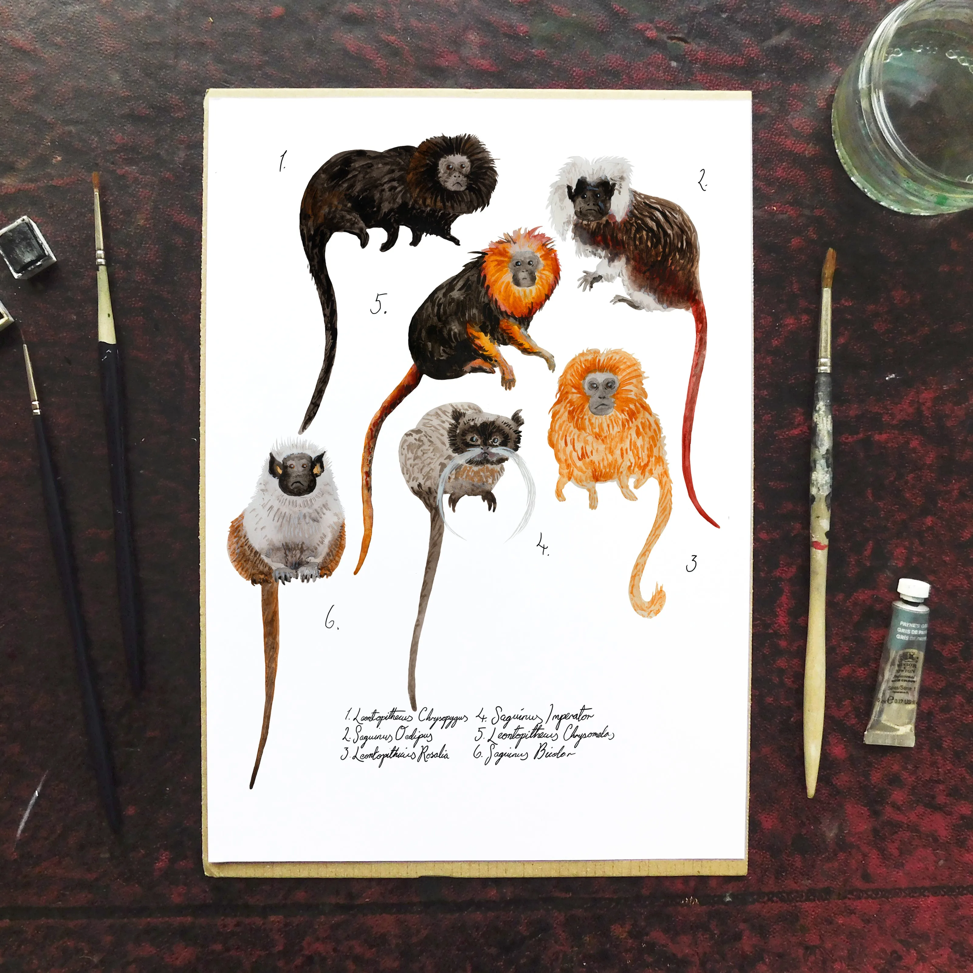 Troop of Tamarins Art Print