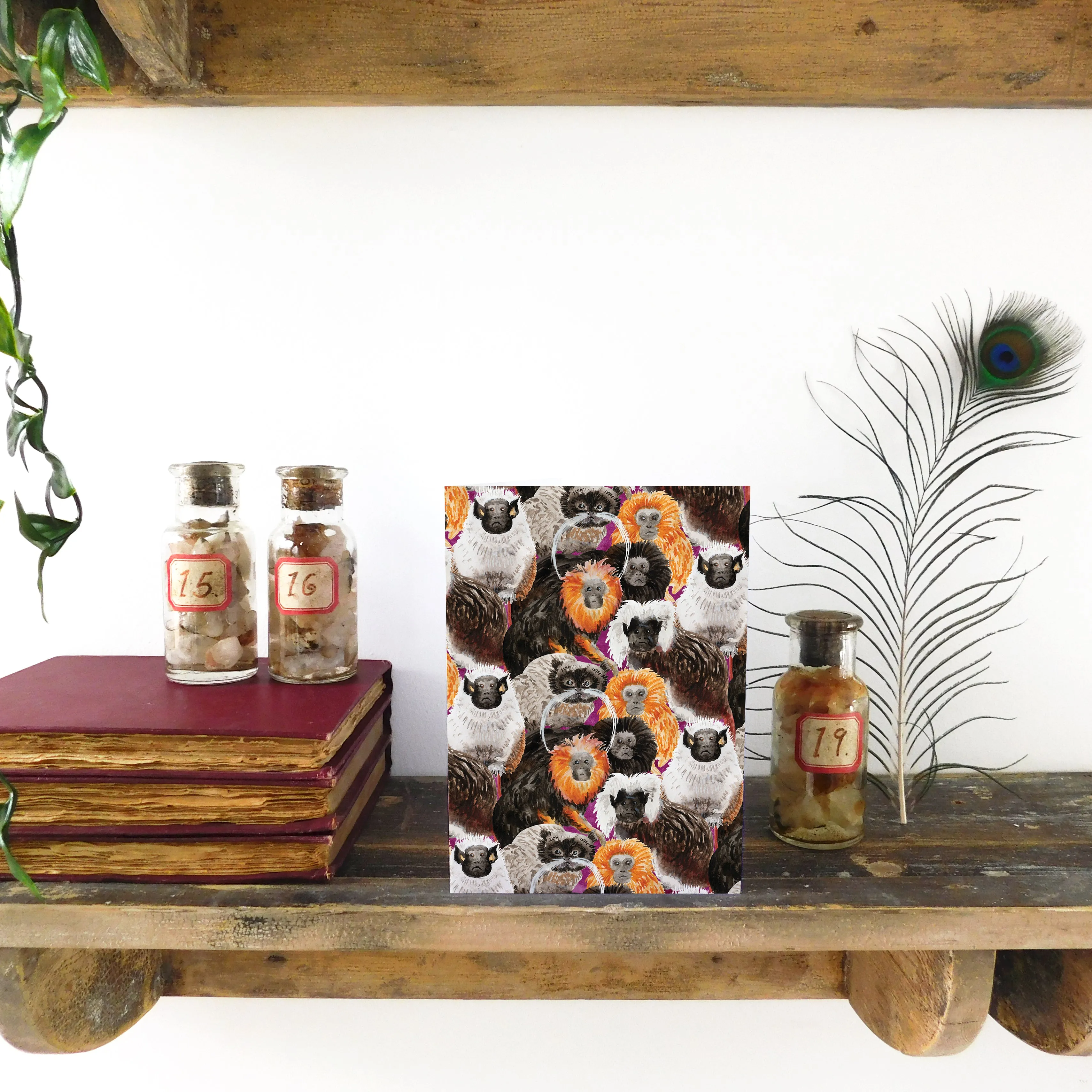 Troop of Tamarins Greetings Card