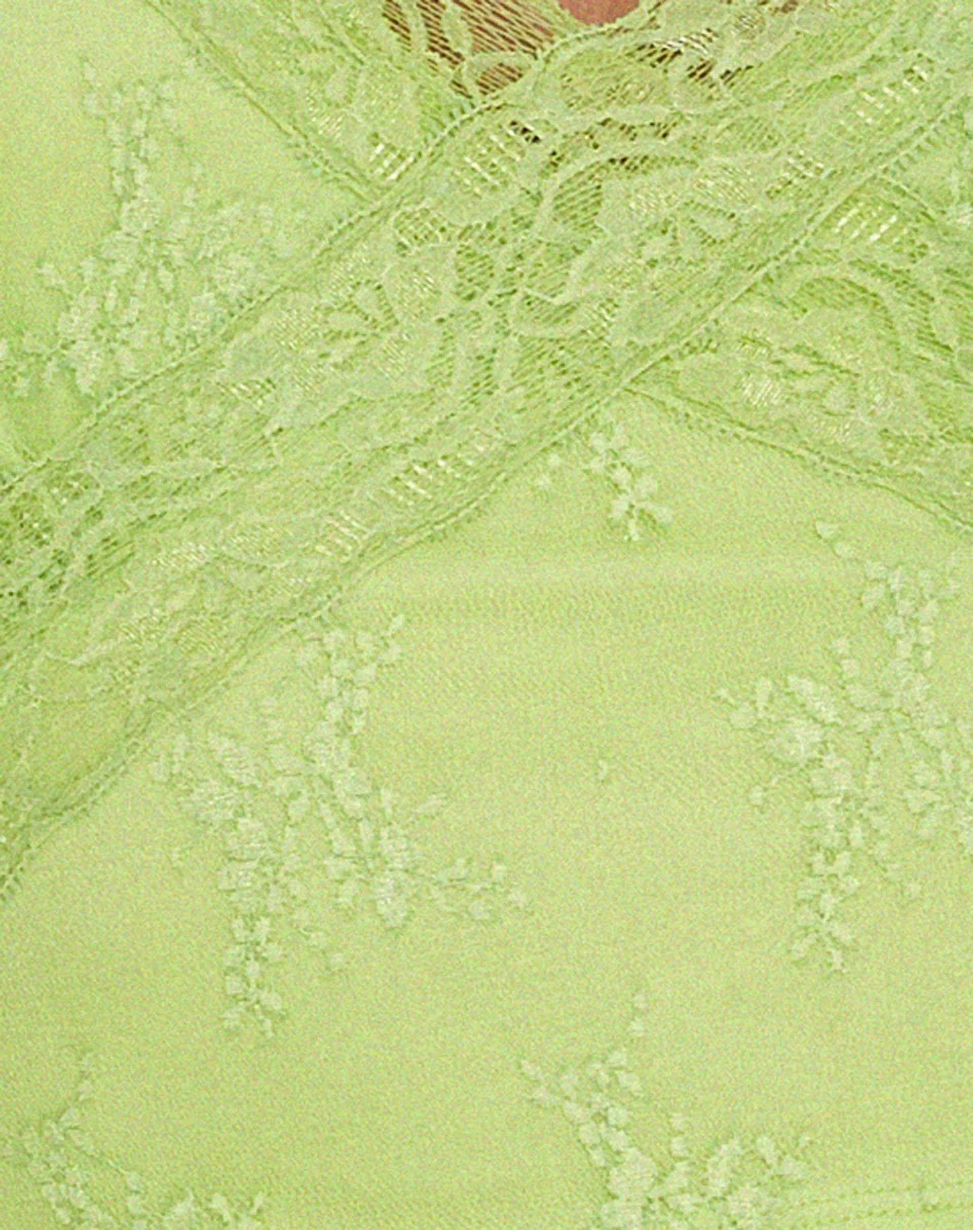 Yecaca Crop Top in Lace Lime